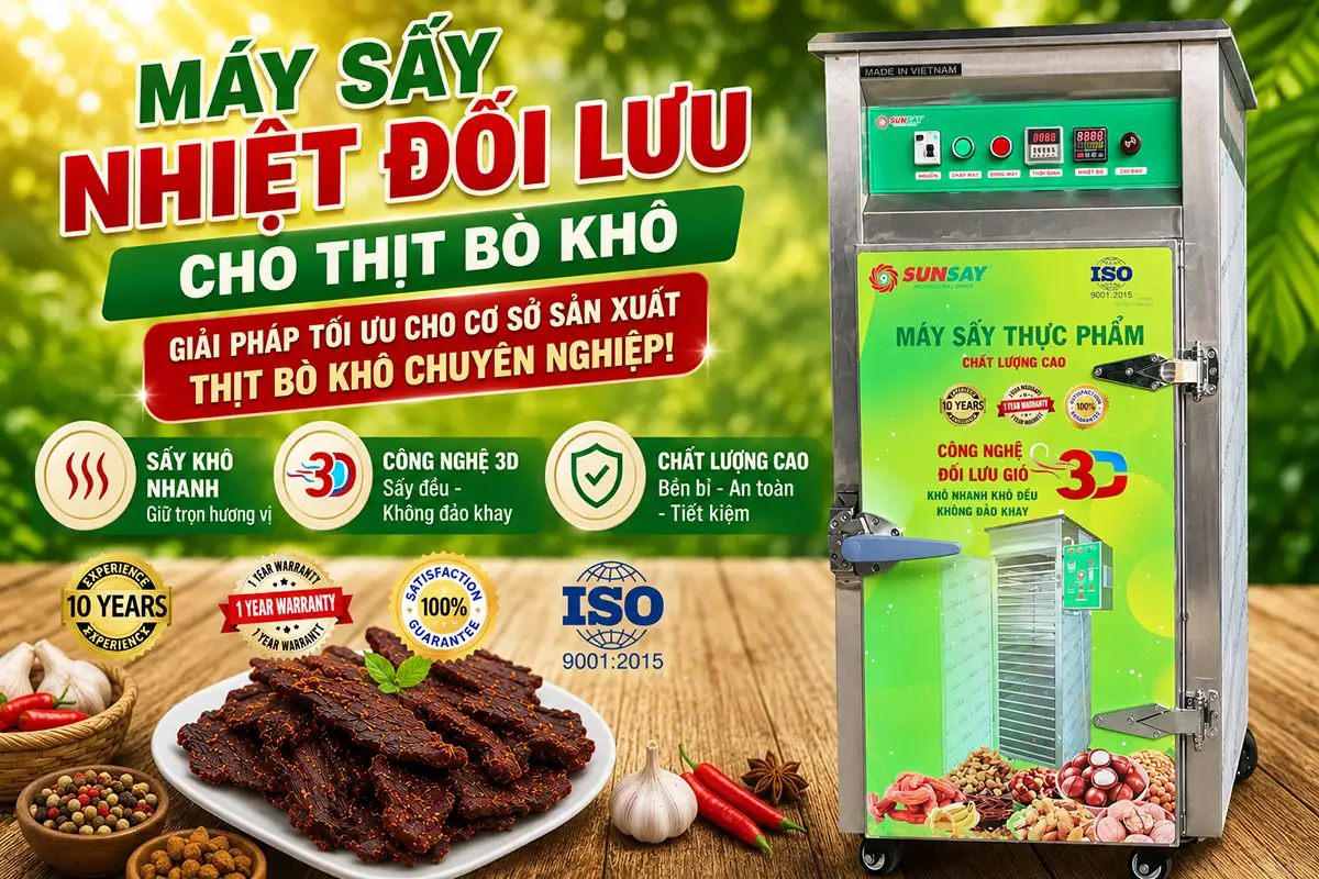 Máy sấy nhiệt đối lưu cho thịt bò khô