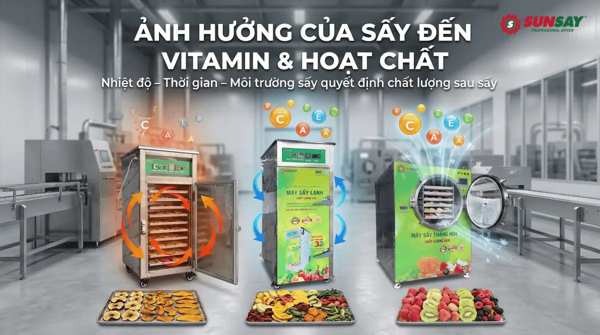 Ảnh hưởng của sấy đến vitamin và hoạt chất: So sánh các công nghệ sấy phổ biến
