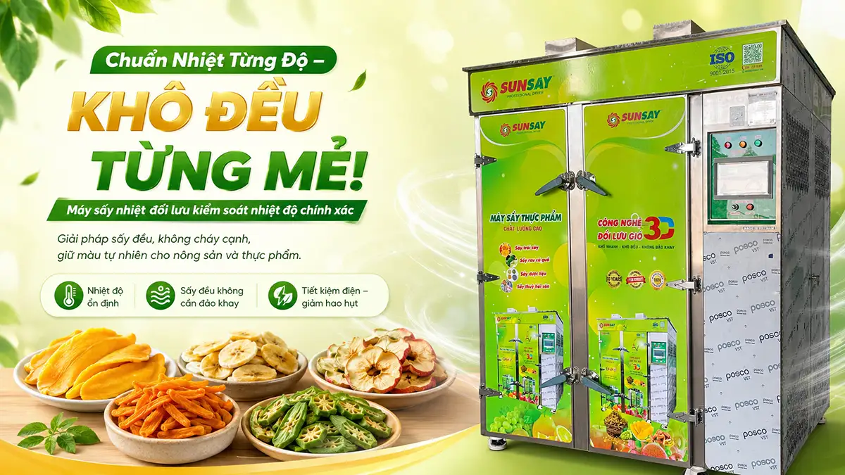 Máy sấy nhiệt đối lưu kiểm soát nhiệt độ chính xác – Giải pháp sấy đều, không cháy cạnh