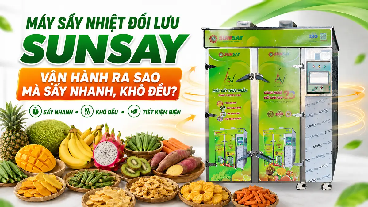 Máy sấy nhiệt đối lưu SUNSAY hoạt động ra sao mà giúp sấy nhanh, khô đều và tiết kiệm điện?