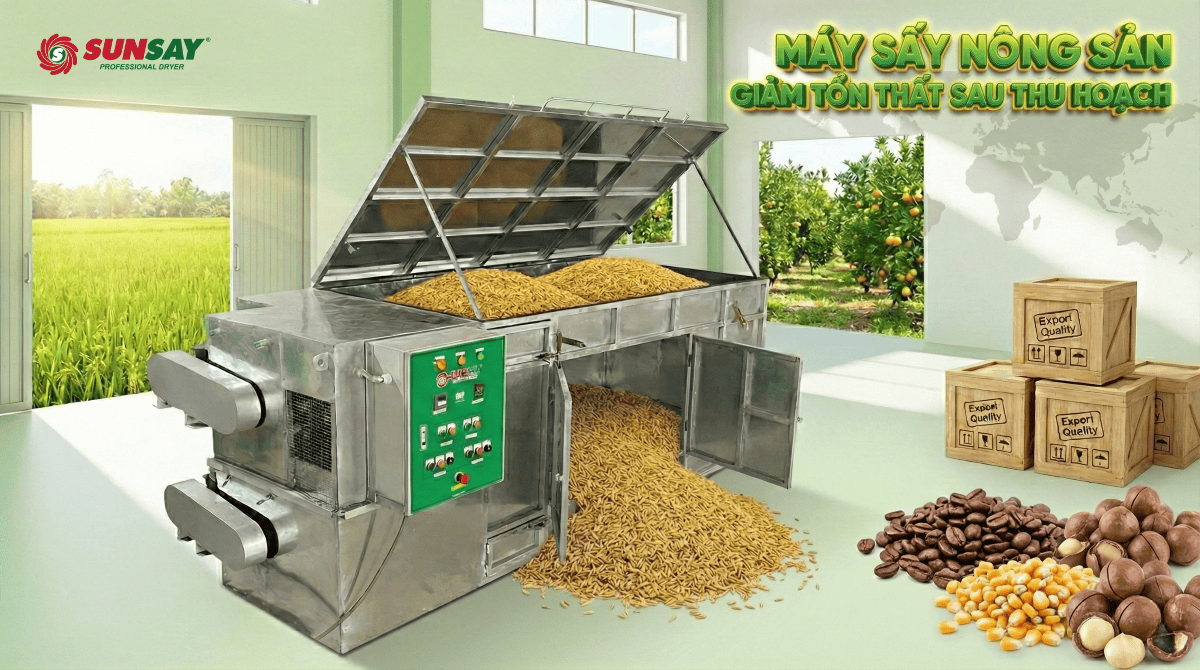 Máy sấy nông sản giảm tổn thất sau thu hoạch và cơ hội nâng tầm nông sản Việt trên thị trường xuất khẩu