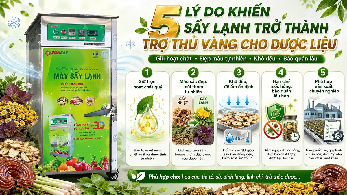 Vì sao sấy lạnh phù hợp dược liệu?