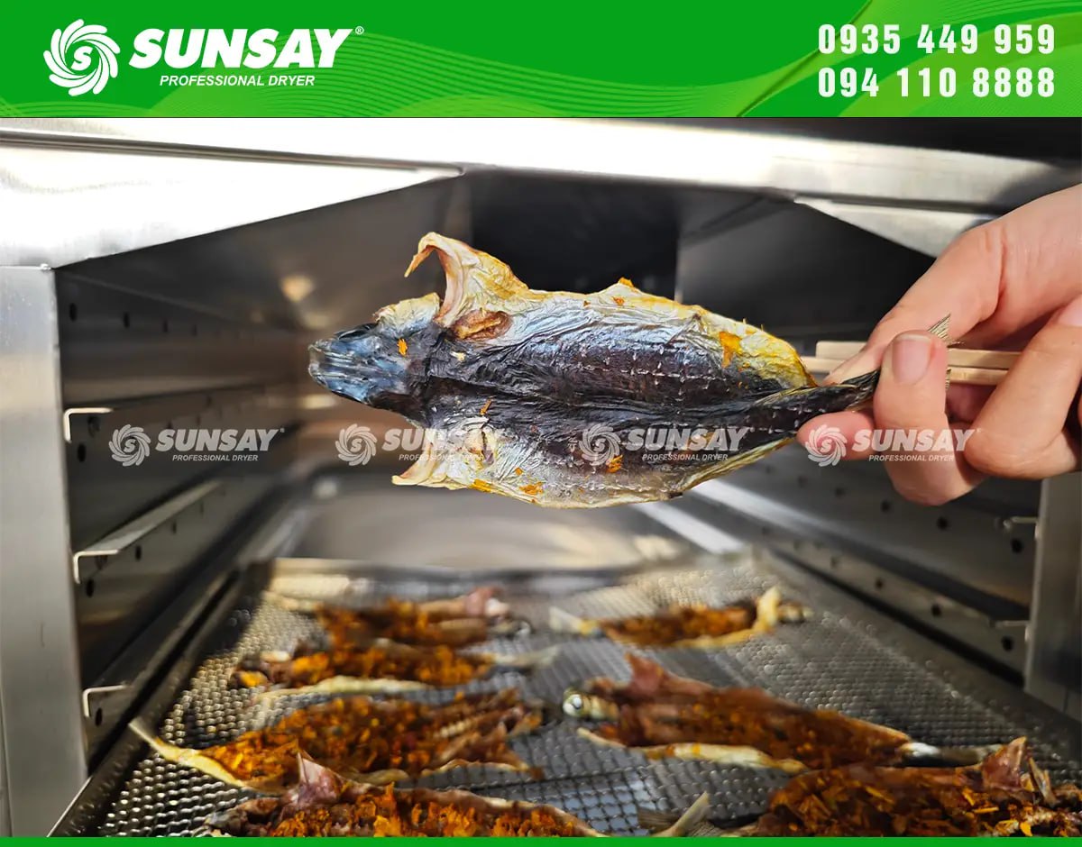 Hình ảnh cá chuồn sau khi sấy khô bằng máy sấy nhiệt đối lưu SUNSAY