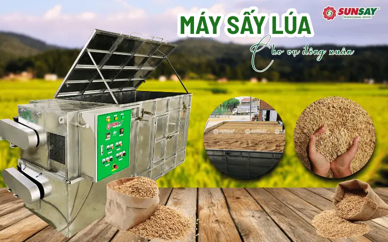Máy sấy lúa cho vụ đông xuân