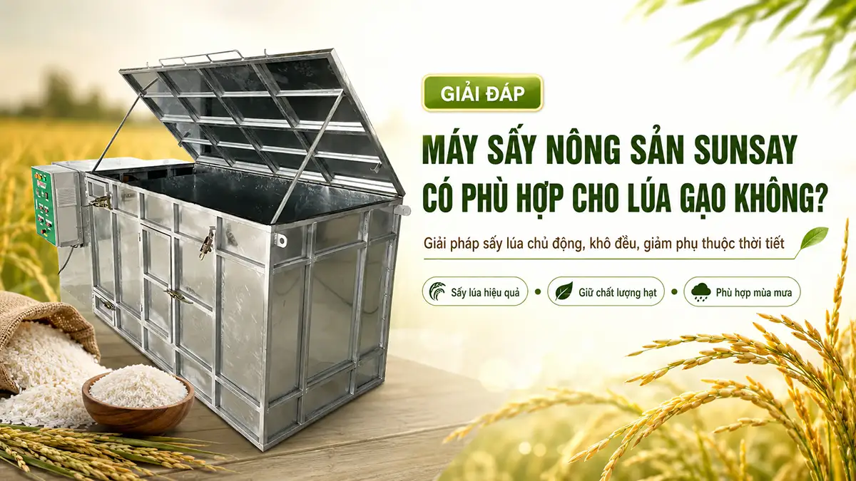 Máy sấy nông sản SUNSAY có phù hợp cho lúa gạo không?