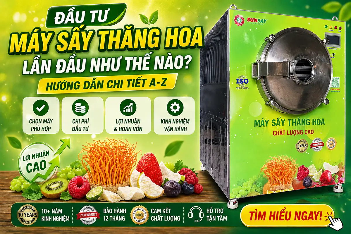 Những sai lầm thường gặp khi đầu tư máy sấy thăng hoa lần đầu và cách tránh