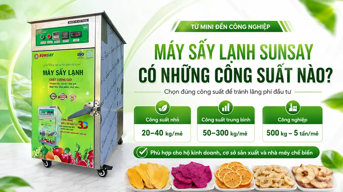 Máy sấy lạnh SUNSAY có những công suất nào? Cách chọn công suất phù hợp để tránh lãng phí đầu tư