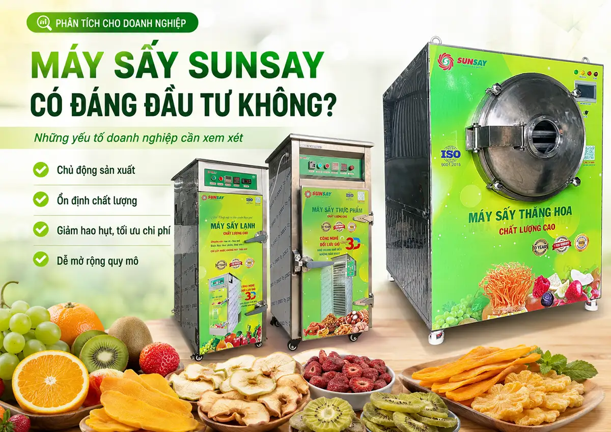 Máy sấy SUNSAY có đáng đầu tư không? Những yếu tố doanh nghiệp cần xem xét