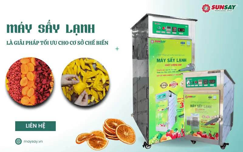 Sấy thủ công nhiều rủi ro? Máy sấy lạnh là giải pháp tối ưu cho cơ sở chế biến
