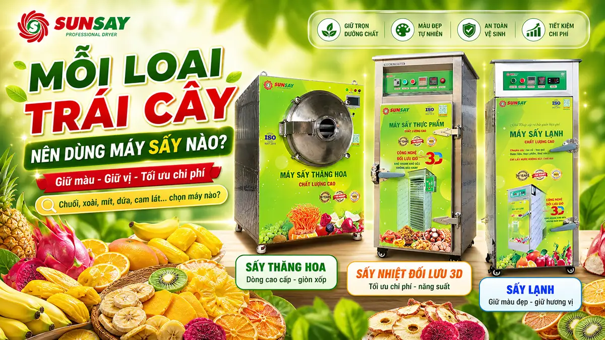 Mỗi loại trái cây nên dùng máy sấy nào để giữ màu, giữ vị và tối ưu chi phí?