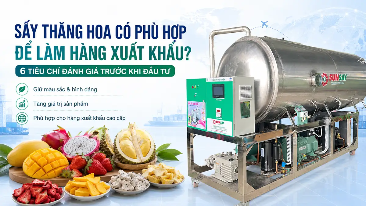 Sấy thăng hoa có phù hợp để làm hàng xuất khẩu không? 6 tiêu chí đánh giá trước khi đầu tư