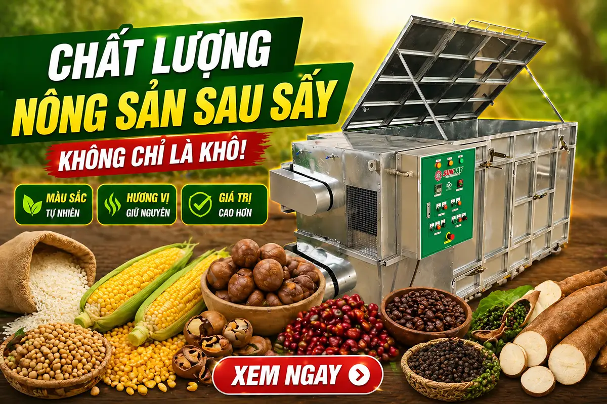 Tiêu chí đánh giá chất lượng nông sản sau sấy để bán giá tốt hơn: Đừng chỉ nhìn độ khô