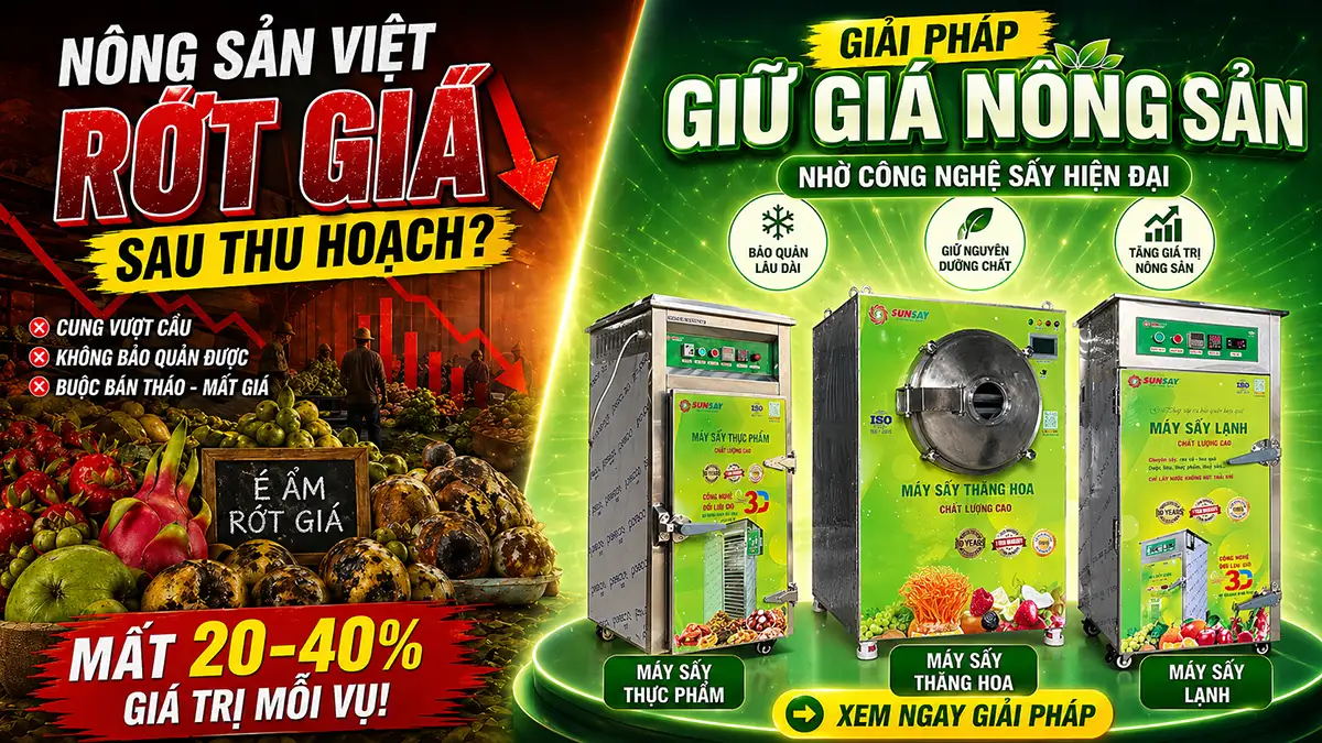 Vì sao nông sản Việt thường rớt giá sau thu hoạch?