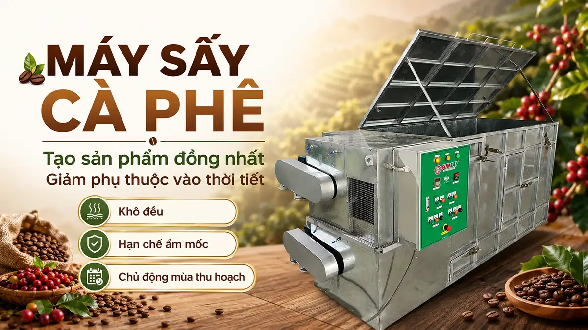 Máy sấy cà phê tạo sản phẩm đồng nhất, giảm phụ thuộc vào thời tiết