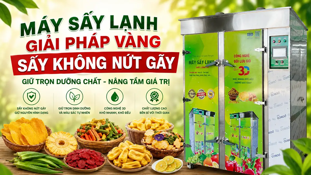 Máy sấy lạnh đảm bảo sản phẩm không nứt gãy, giữ thành phẩm đẹp mắt và dễ bán hơn