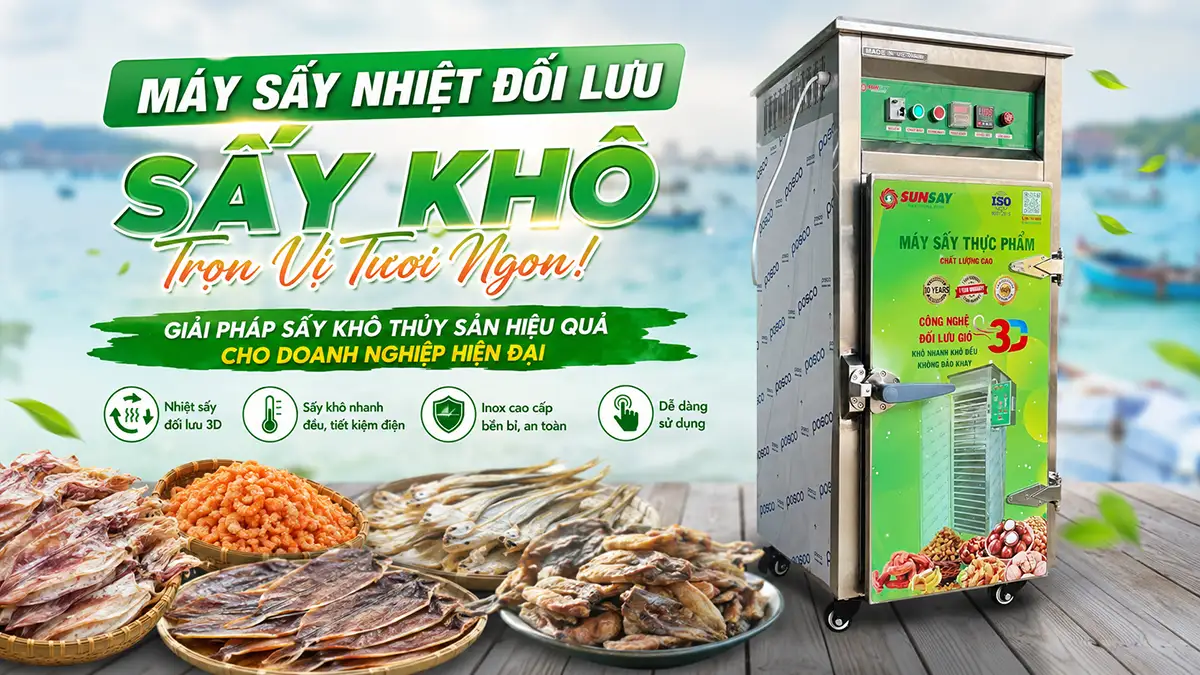 Máy sấy nhiệt đối lưu cho thủy sản sấy khô: Giải pháp thay thế phơi nắng thiếu ổn định