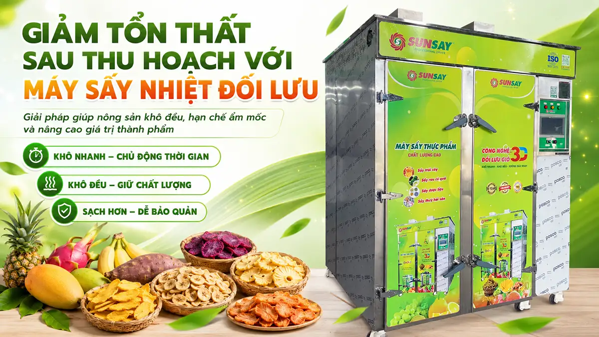 Máy sấy nhiệt đối lưu giảm tổn thất sau thu hoạch