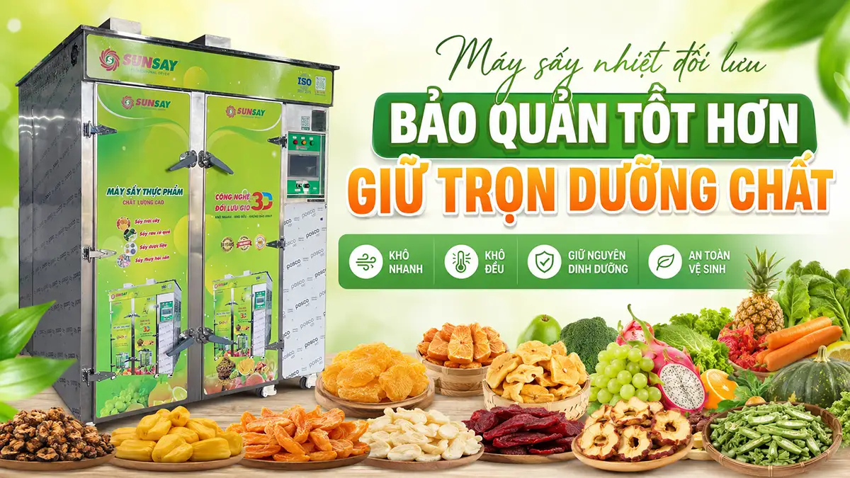 Sản phẩm hay bị ẩm mốc? Máy sấy nhiệt đối lưu giúp sản phẩm bảo quản tốt hơn