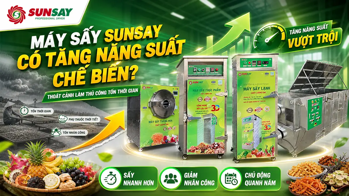 Máy sấy SUNSAY có tăng năng suất chế biến không?
