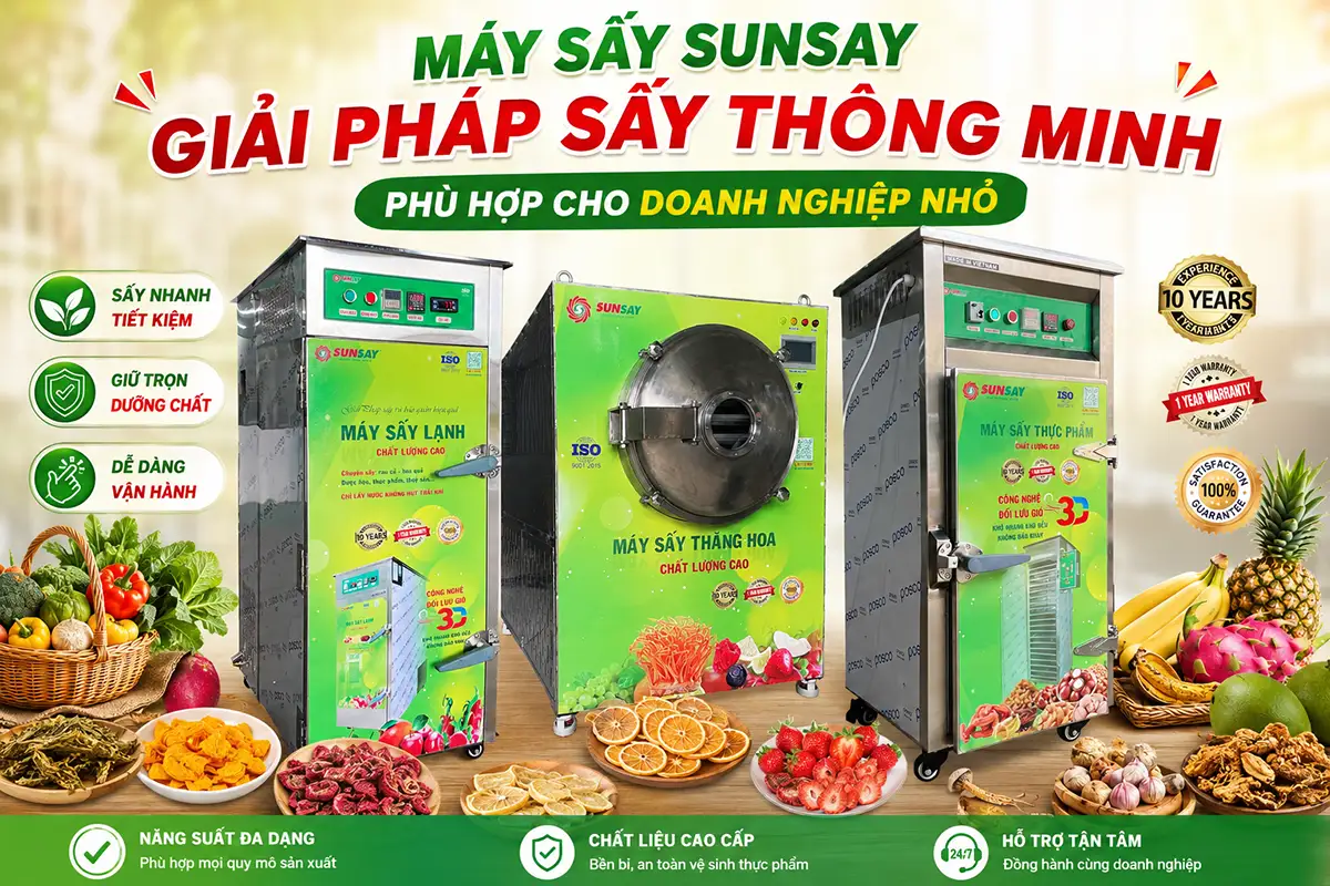 Máy sấy SUNSAY phù hợp cho doanh nghiệp nhỏ không?