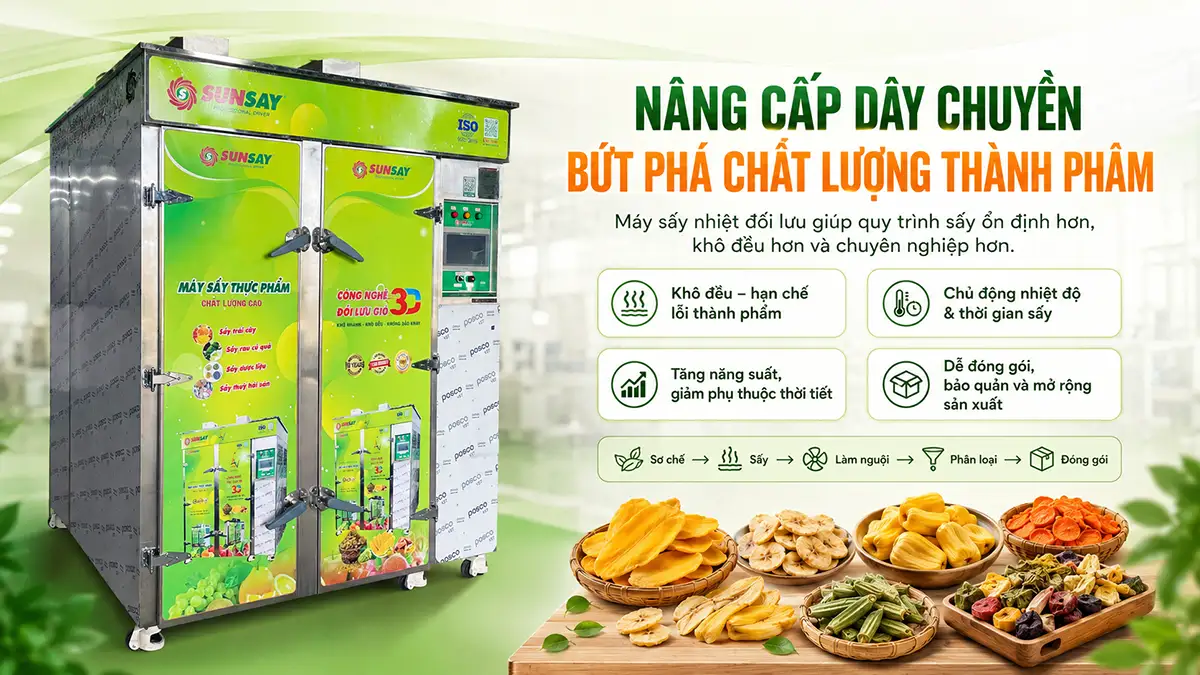 Máy sấy nhiệt đối lưu hỗ trợ nâng cấp dây chuyền và tối ưu chất lượng thành phẩm