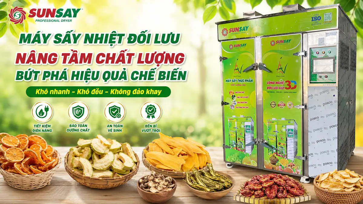 Máy sấy nhiệt đối lưu nâng cao hiệu quả chế biến thực phẩm
