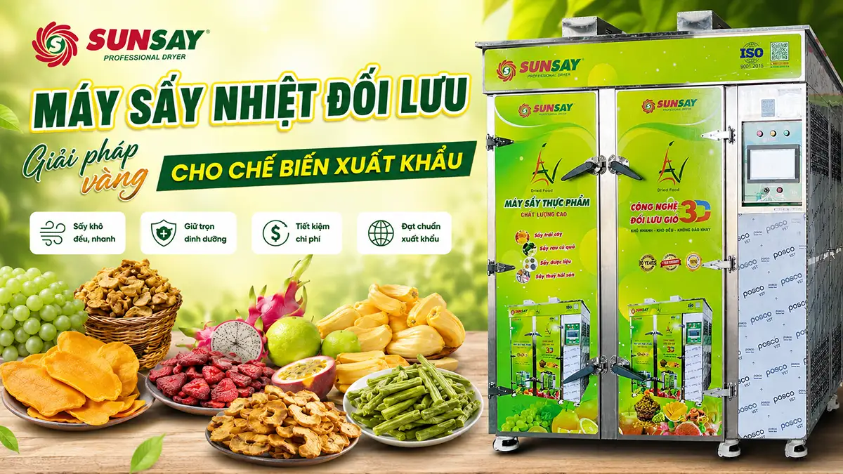 Máy sấy nhiệt đối lưu phù hợp chế biến xuất khẩu có gì vượt trội so với phương pháp sấy truyền thống?