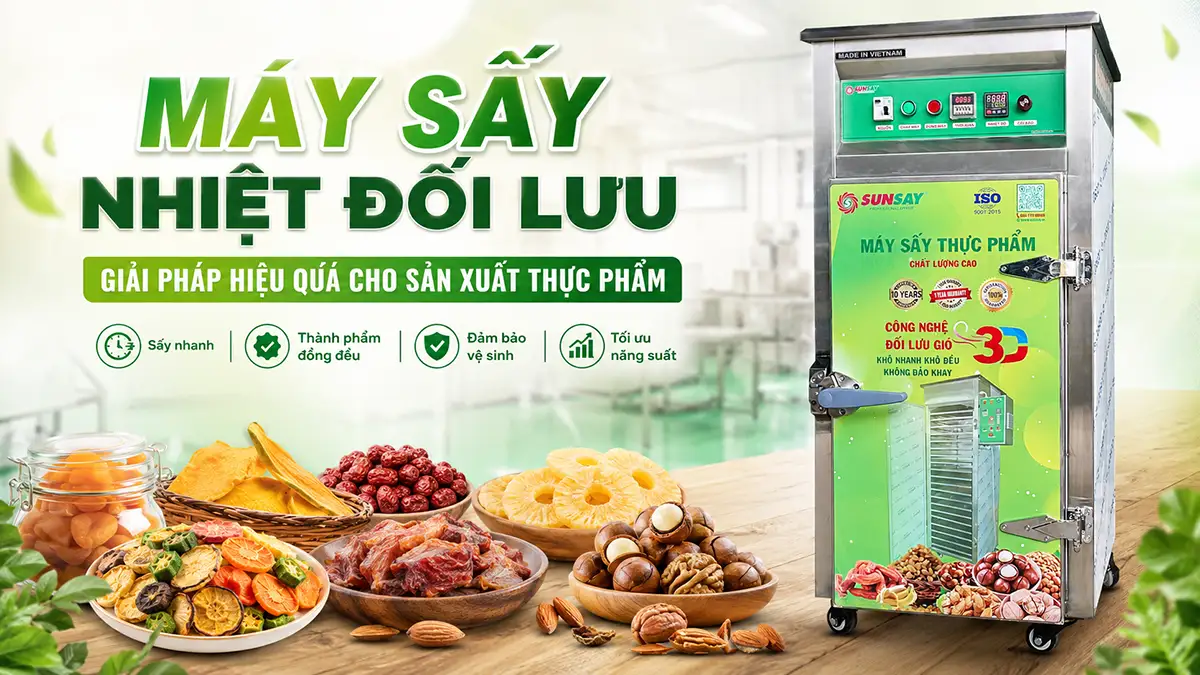 Máy sấy nhiệt đối lưu sản xuất thực phẩm cho thị trường trong nước và quốc tế