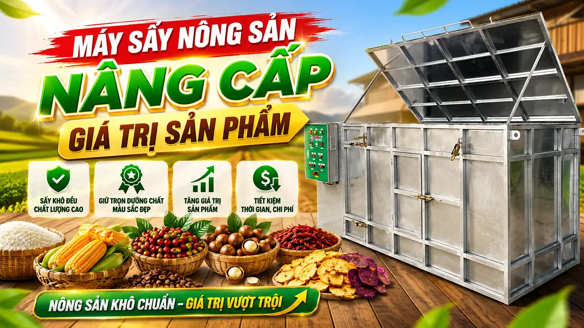 Máy sấy nông sản giúp nâng cấp giá trị sản phẩm xuất khẩu như thế nào?