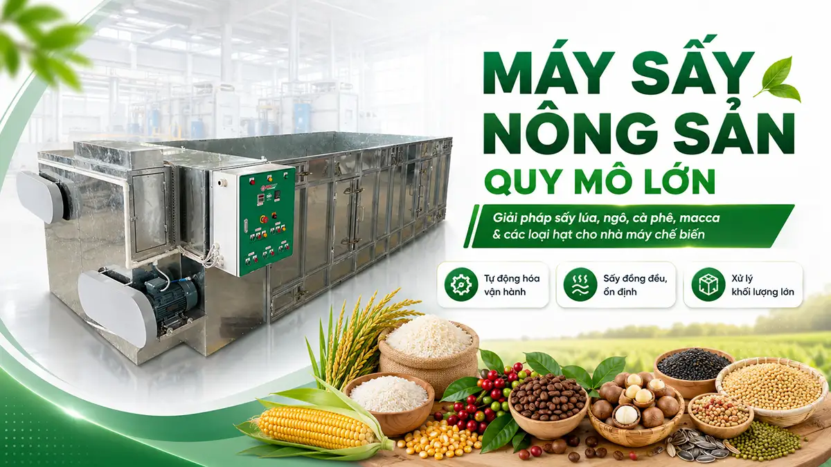 Máy sấy nông sản quy mô lớn cho nhà máy chế biến: Giải pháp giảm chi phí nhân công và vận hành