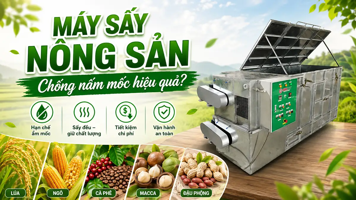 Máy sấy nông sản SUNSAY chống nấm mốc hiệu quả không?