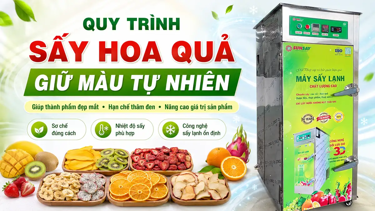 Quy trình sấy hoa quả giữ màu tự nhiên giúp nâng cao giá trị sản phẩm