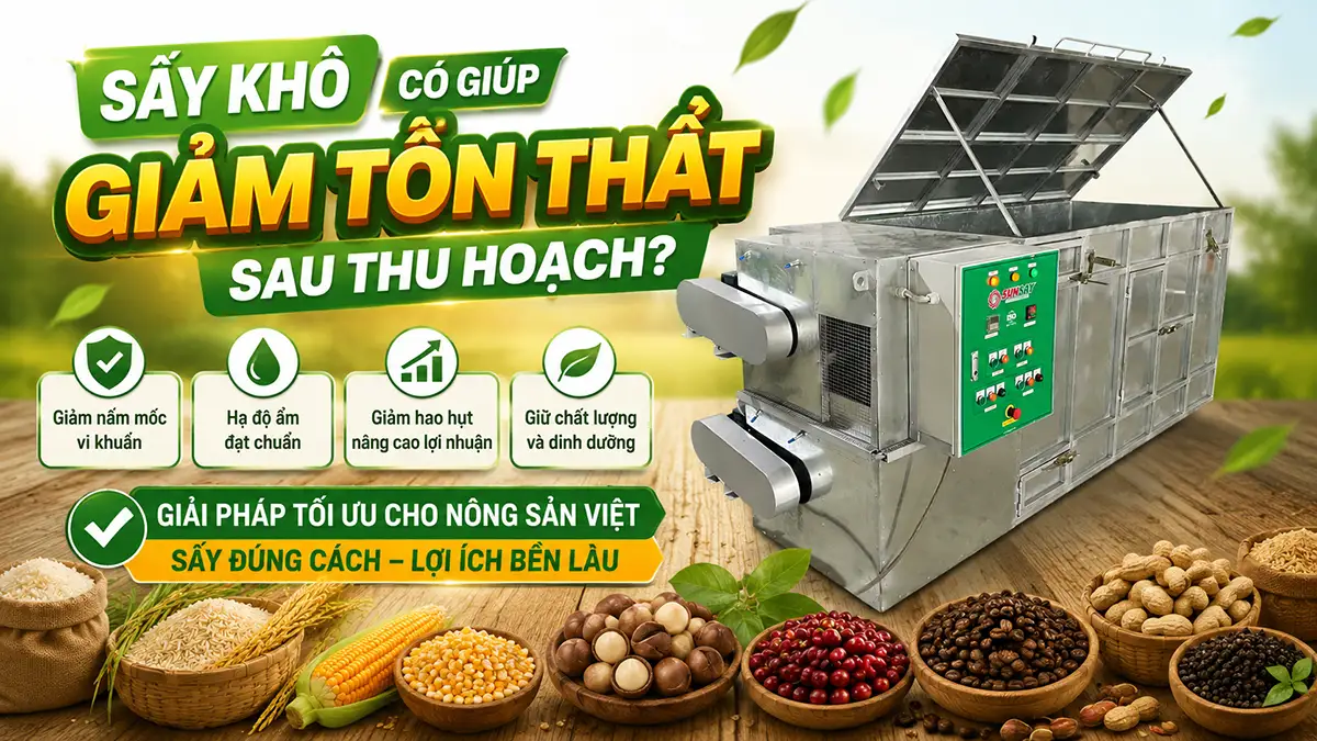 Sấy khô có giúp giảm tổn thất sau thu hoạch không?