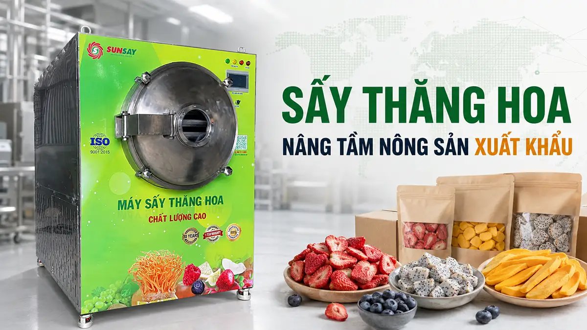 Máy sấy thăng hoa cho ngành chế biến xuất khẩu cao cấp – Đáp ứng yêu cầu chất lượng khắt khe