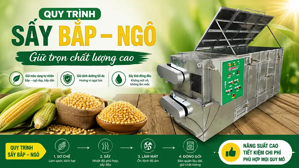 Quy trình sấy bắp ngô giữ chất lượng cao cần kiểm soát những gì?
