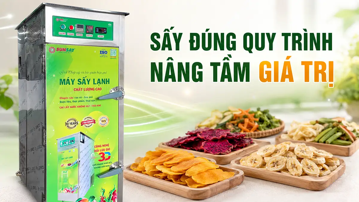 Quy trình sấy giúp nâng cao giá trị sản phẩm và giảm thất thoát sau thu hoạch