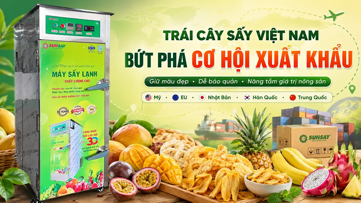 Trái cây sấy Việt Nam đang có những cơ hội xuất khẩu nào?