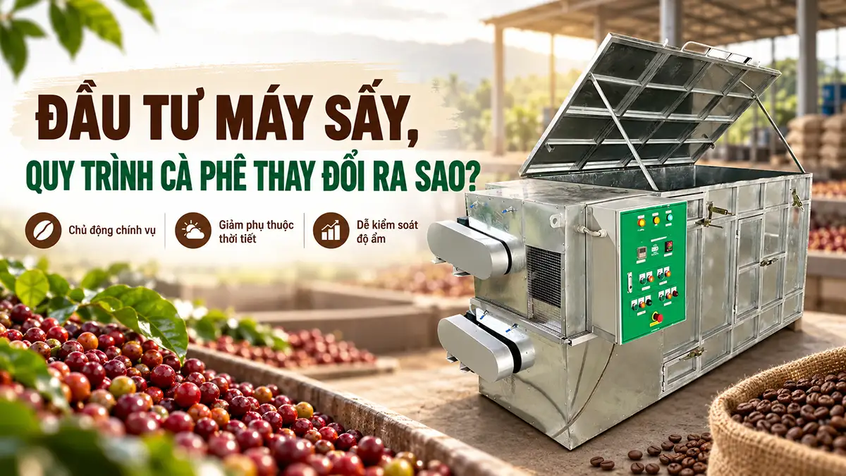 Cơ sở cà phê thay đổi quy trình sau khi đầu tư máy sấy