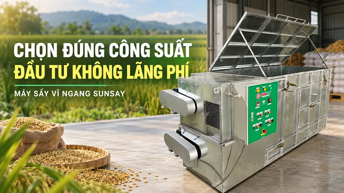 Đầu tư công suất máy sấy vĩ ngang bao nhiêu là đủ cho quy mô sản xuất?