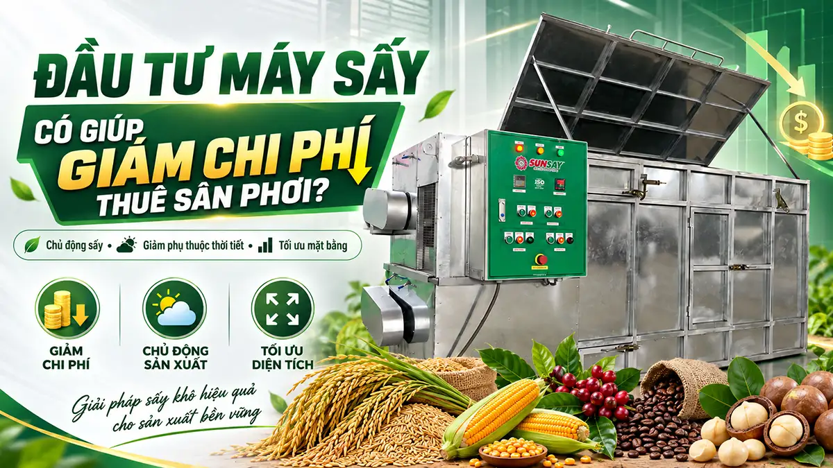 Máy sấy có giúp giảm chi phí thuê sân phơi?