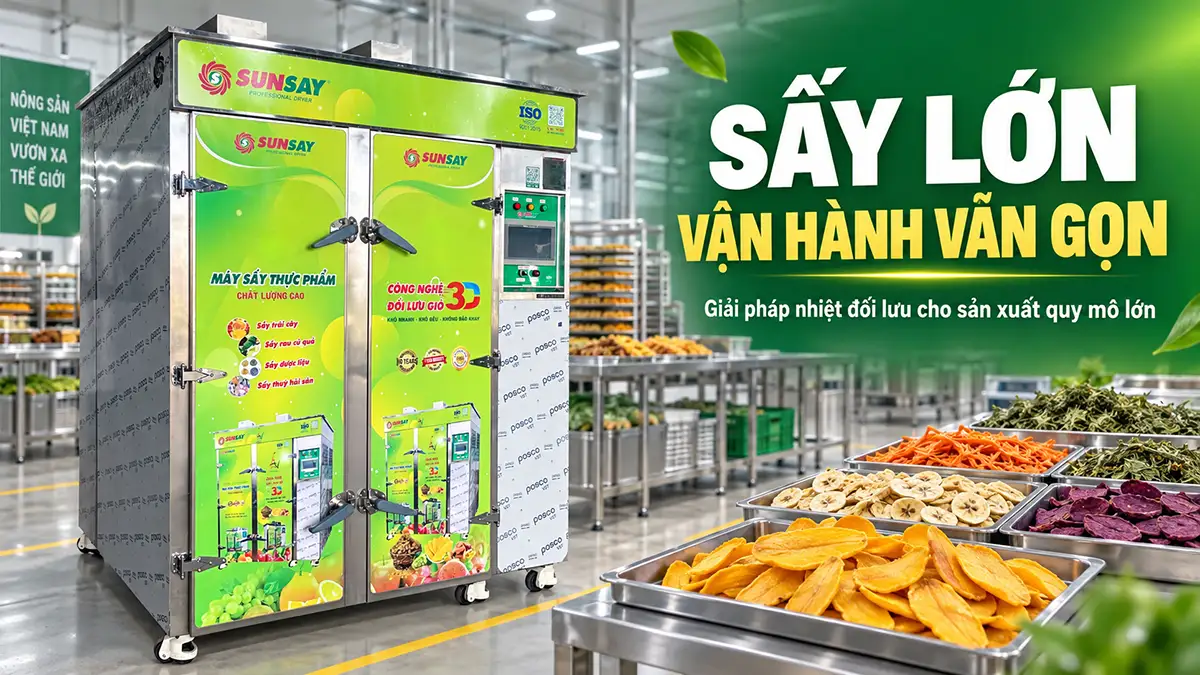Máy sấy nhiệt đối lưu có phù hợp sản xuất quy mô lớn? 5 yếu tố cần xem xét