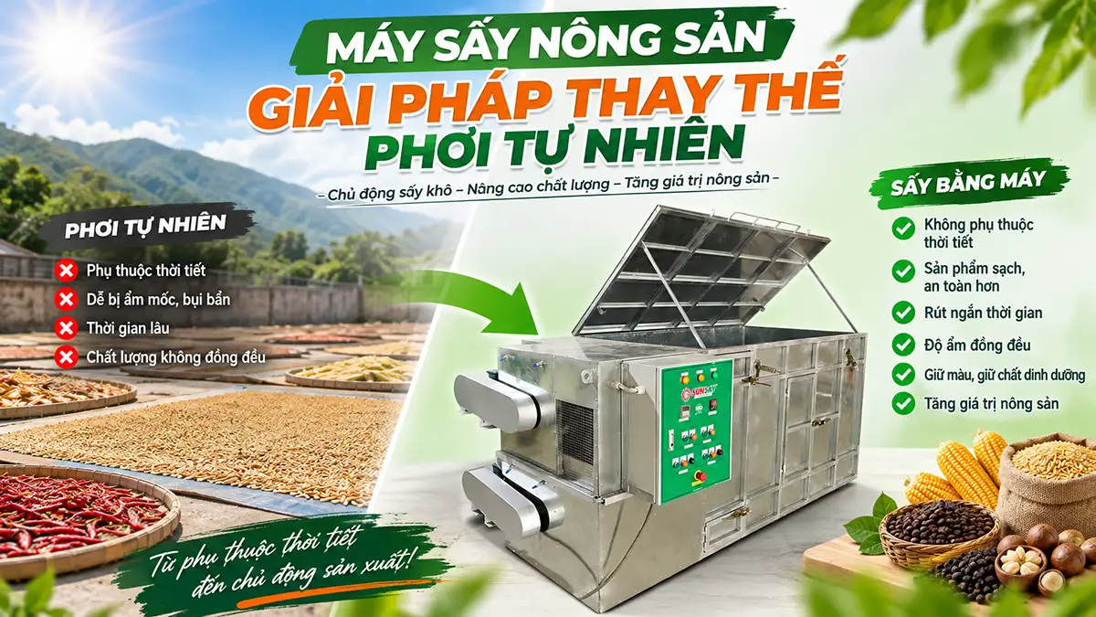 Máy sấy nông sản thay thế phơi tự nhiên có hiệu quả không?