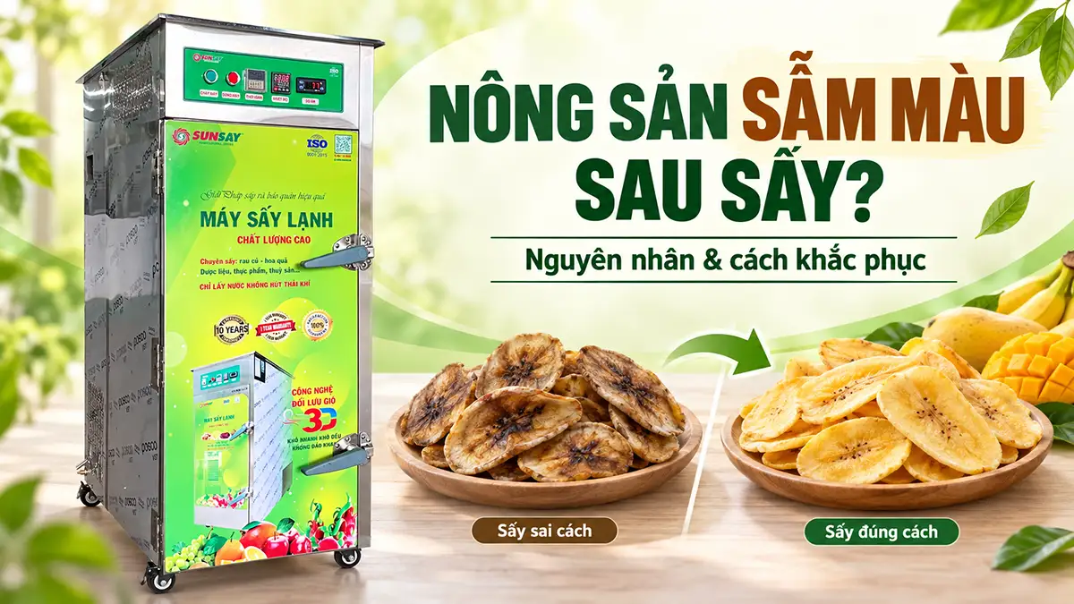 Nông sản bị sẫm màu sau sấy: Vấn đề nằm ở đâu?