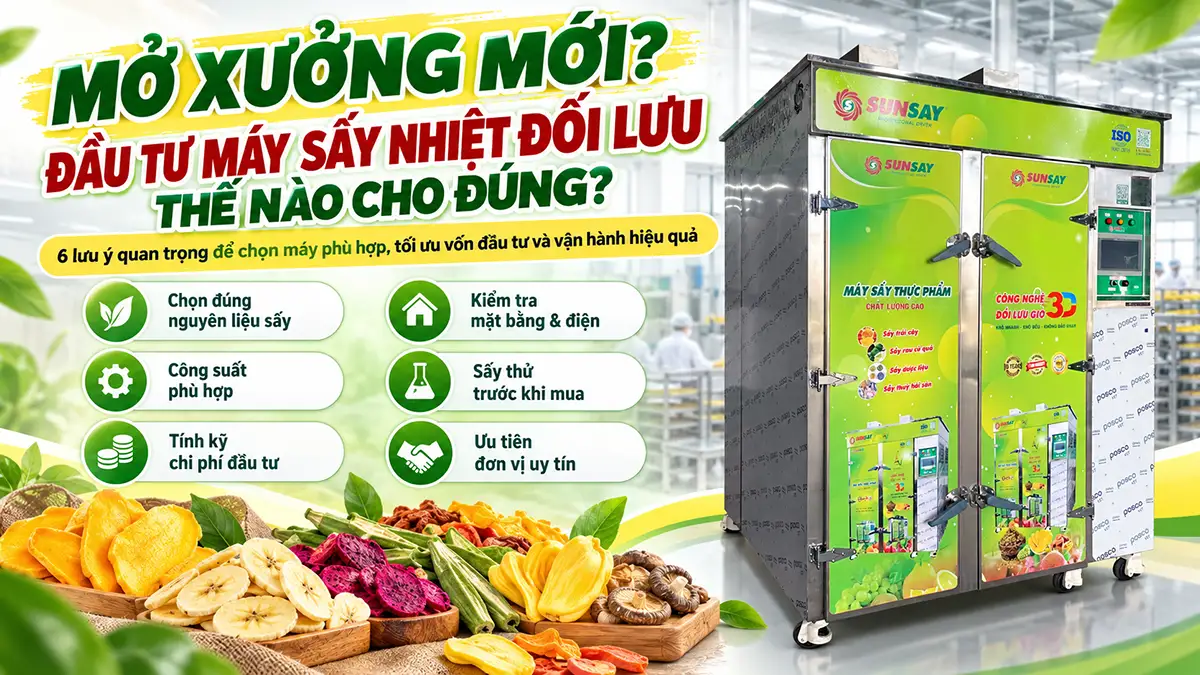 Đầu tư máy sấy nhiệt đối lưu cho xưởng sản xuất mới cần lưu ý gì?