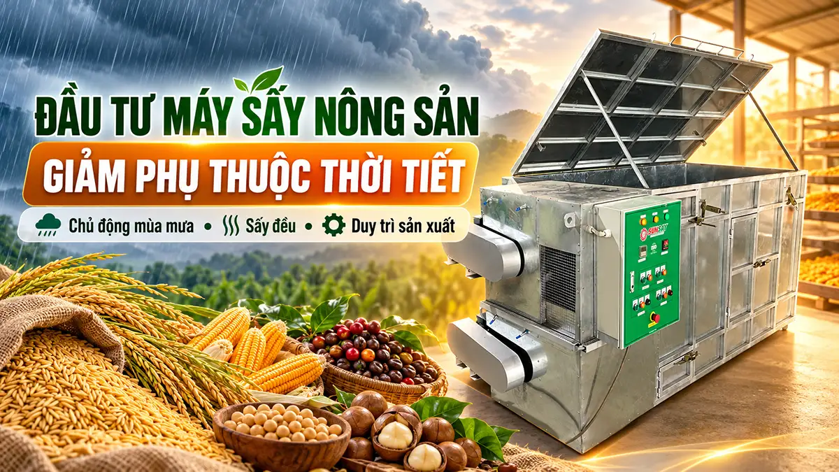 Đầu tư máy sấy nông sản để giảm phụ thuộc thời tiết – Không lo gián đoạn mùa mưa