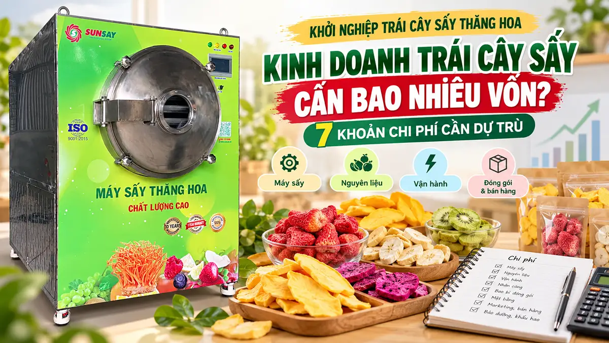 Kinh doanh trái cây sấy thăng hoa cần tính những chi phí gì?