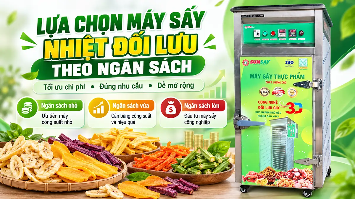 Cách lựa chọn máy sấy nhiệt đối lưu theo ngân sách hiệu quả
