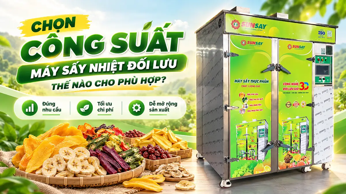 Máy sấy nhiệt đối lưu công suất bao nhiêu là phù hợp?