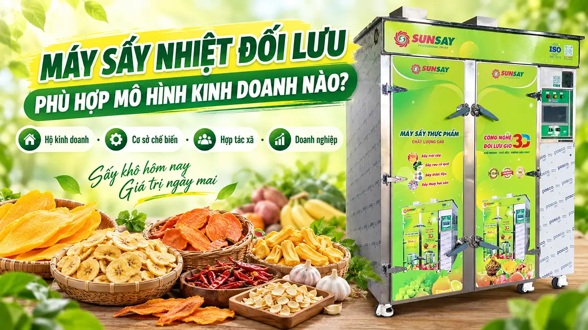 Máy sấy nhiệt đối lưu phù hợp với mô hình kinh doanh nào?