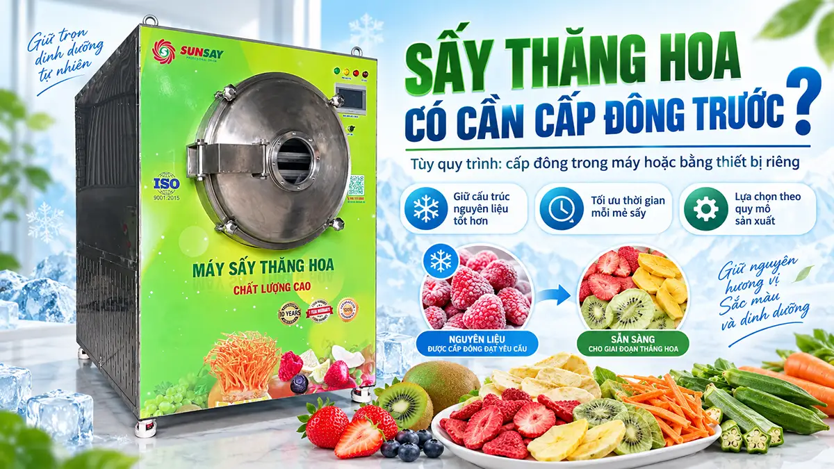 Máy sấy thăng hoa có cần cấp đông nguyên liệu trước không?